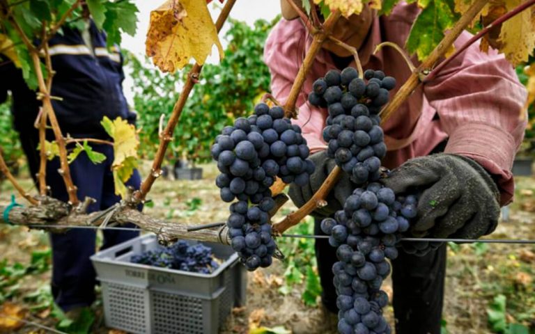 El PP propone retrasar 2 años la cobertura de costes en la cadena alimentaria