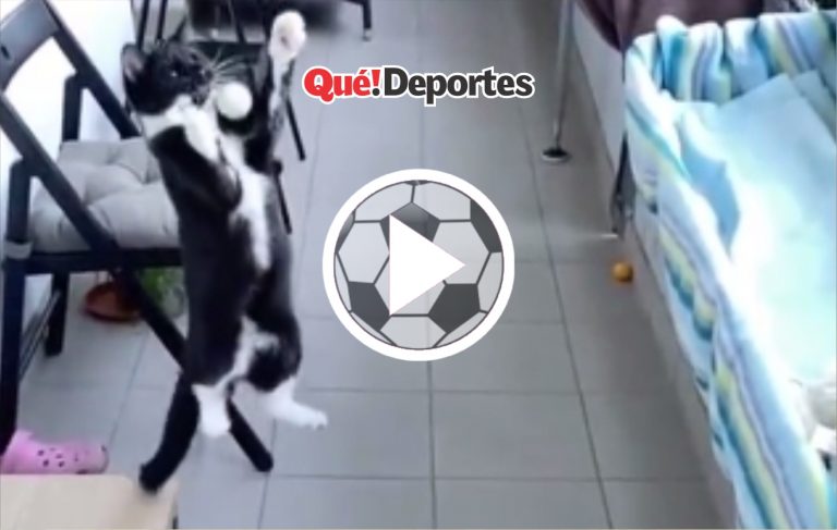 ¡Tiene mejor control del balón que yo!