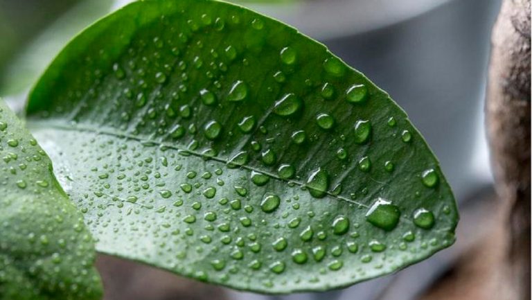 Todo lo que debes saber sobre la humedad por condensación