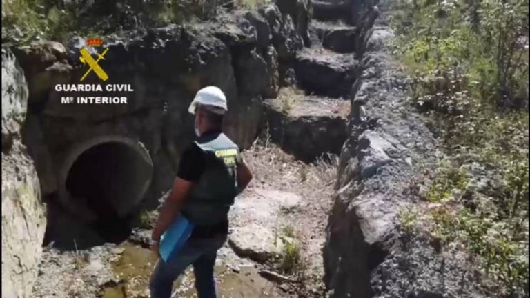 Seprona investigó en 2020 más de 130.000 infracciones higiénico-sanitarias Seprona investigó en 2020 más de 130.000 infracciones higiénico-sanitarias