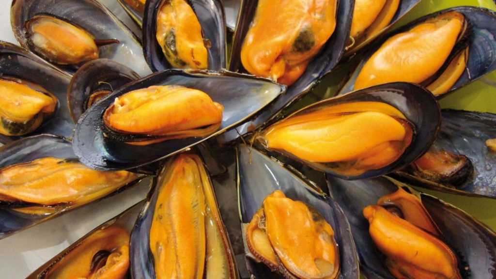 ¿Cómo cocinar mejillones y recetas para disfrutarlos?
