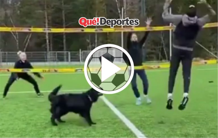 El perro, el mejor amigo deportista del hombre