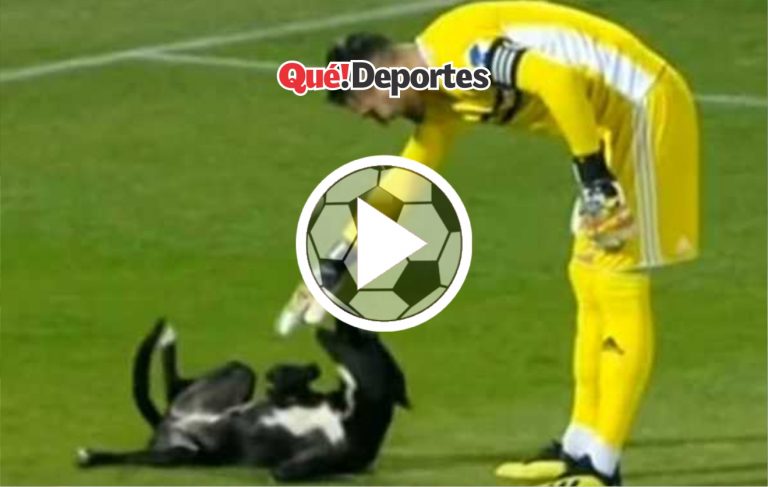 Cuando controlas mejor a un perro que al balón