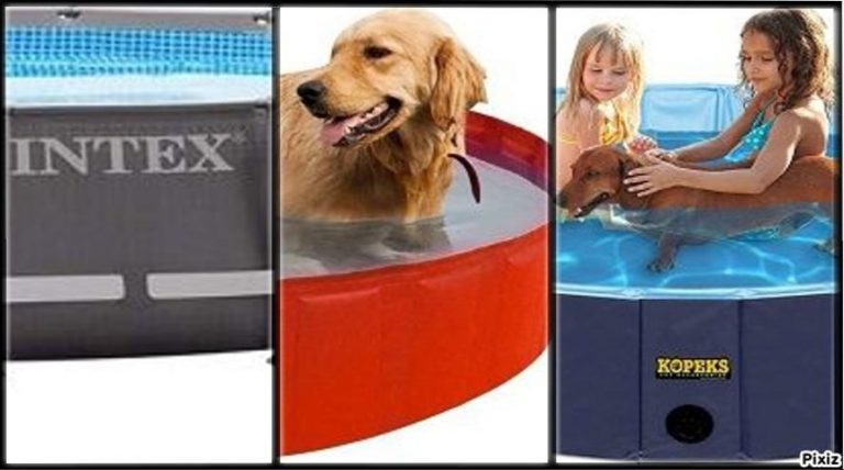 Amazon: piscinas portátiles de oferta para que no te pille el toro este verano 2021