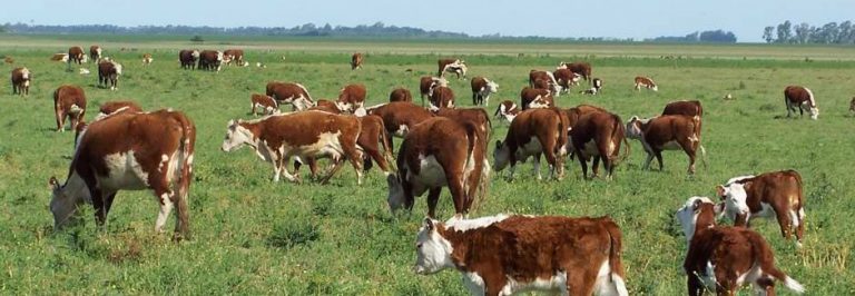 Nace 'Granjas Next Generation', un programa de formación agroganadera