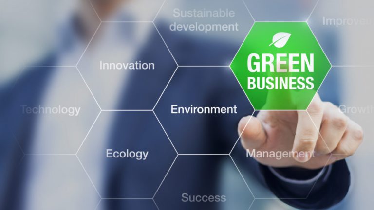 Sostenibilidad: Las 10 Empresas Más Sostenibles del Mundo