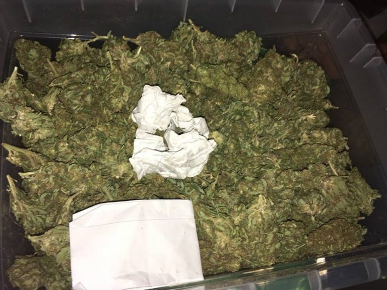 Desarticulada una gran red de tráfico de marihuana de origen chino