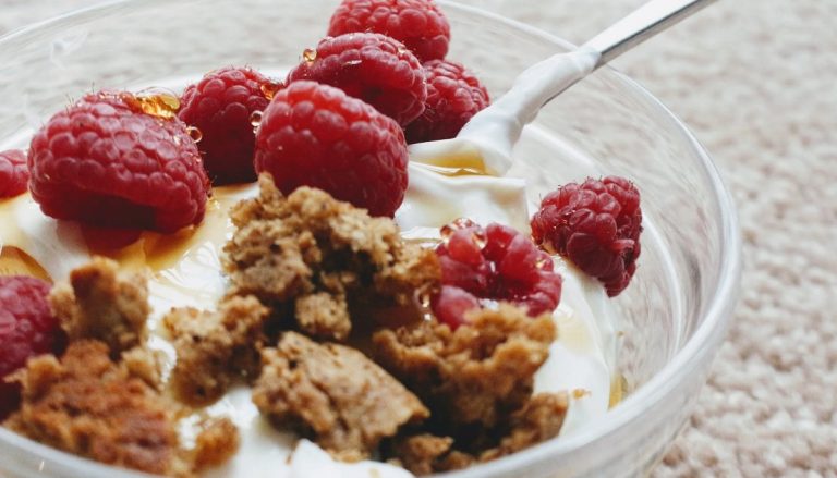 Receta de yogur griego casero con una yogurtera