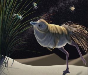 Este era el shuvuuia, un dinosaurio diminuto que cazaba en la oscuridad