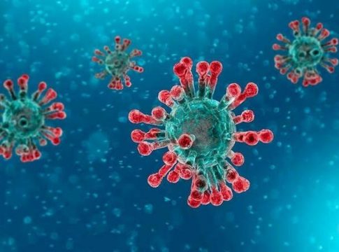 La variante india del Covid está ya en 26 países europeos con transmisión intracomunitaria La variante india del Covid está ya en 26 países europeos con transmisión intracomunitaria