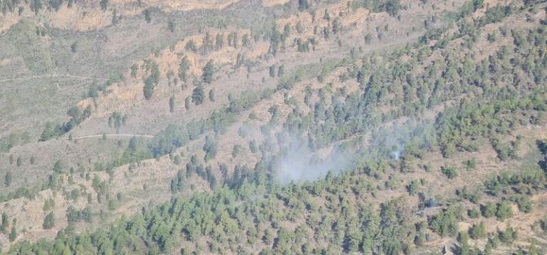 El incendio forestal de Arico (Tenerife) seguirá en nivel 2