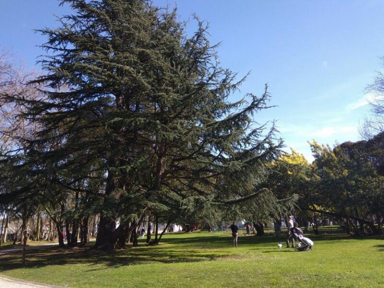 Este sábado se tendrán temperaturas de hasta 34ºC y chubascos en los Pirineos