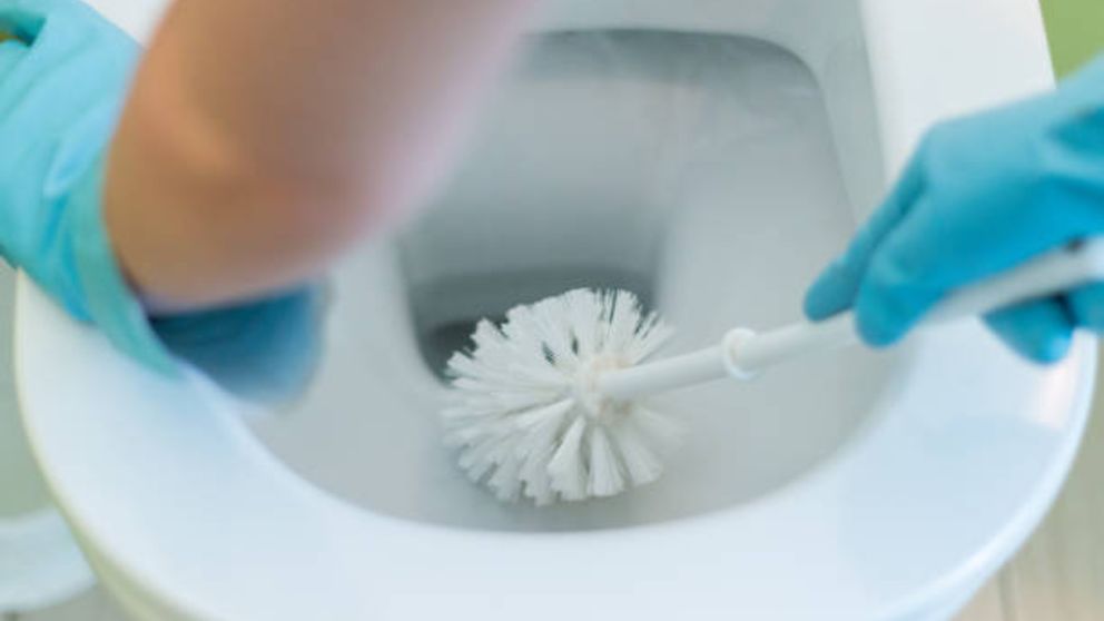 Bórax para el váter