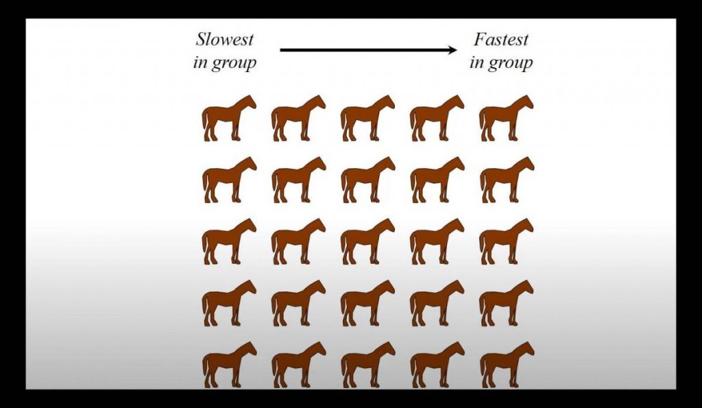 Pasos que debes seguir para llegar a esta solución