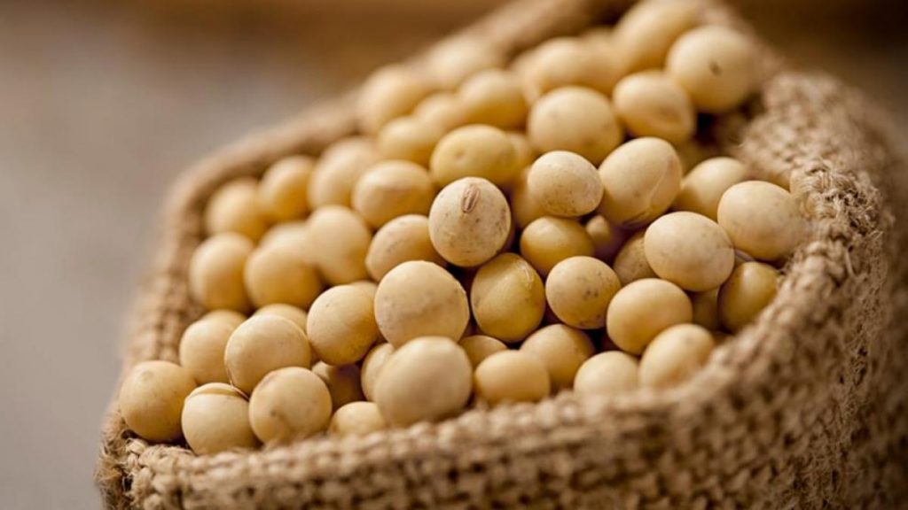 Incluye la Soja en tu alimentación, fuente natural de Omega 3