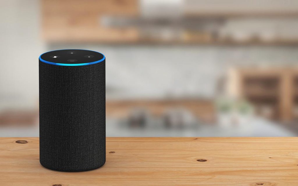 Amazon Alexa: preguntas raras (y sus respuestas) 52 Amazon Alexa y los gatos