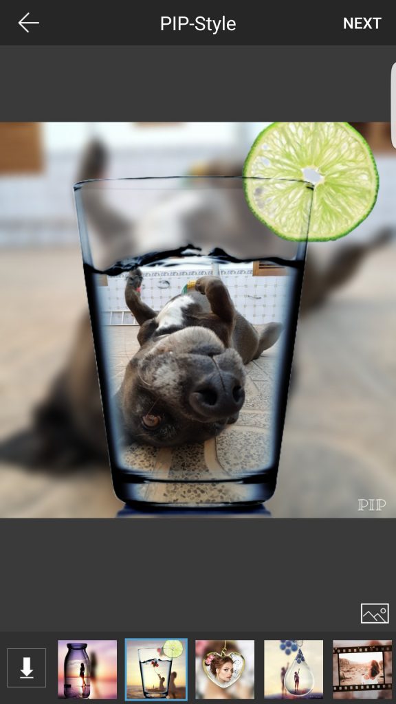 Apps que tienes en tu móvil y hacen compras sin que te des cuenta 35 Pip Camera