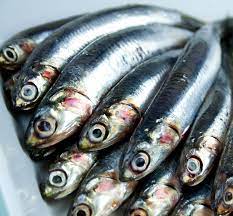 Cómo hacer boquerones al limón en el microondas 2 ¿Qué son los boquerones?