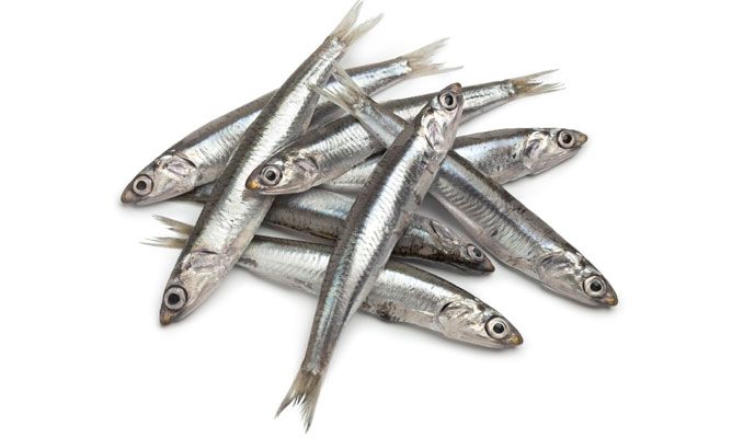 Cómo hacer boquerones al limón en el microondas 3 Beneficios del boquerón