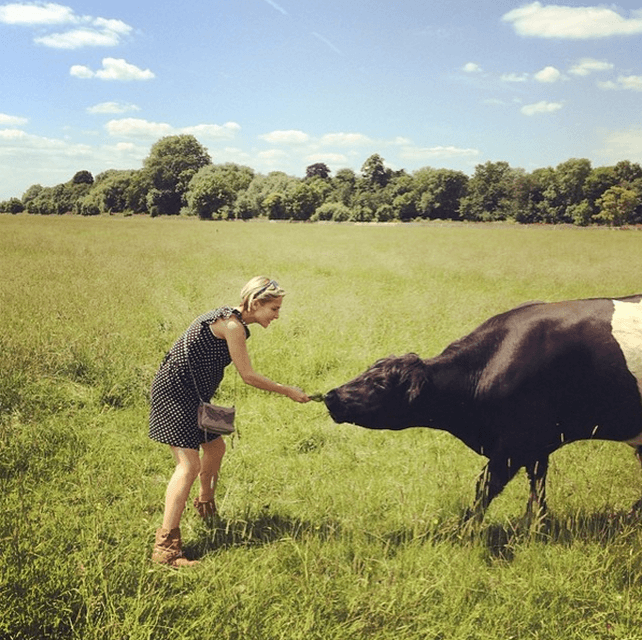El viaje a sus raíces