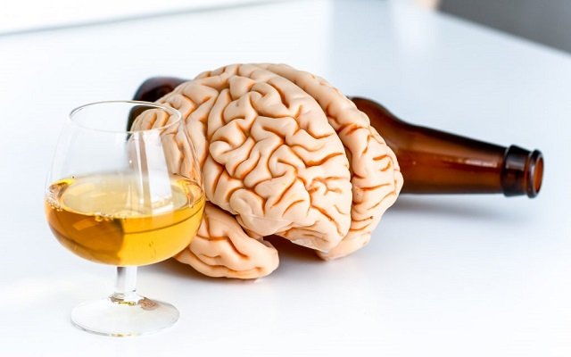 Esto es lo que le hace a tu cerebro una copa de alcohol