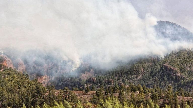 El incendio de Arico abarca una superficie de 1.500 hectáreas