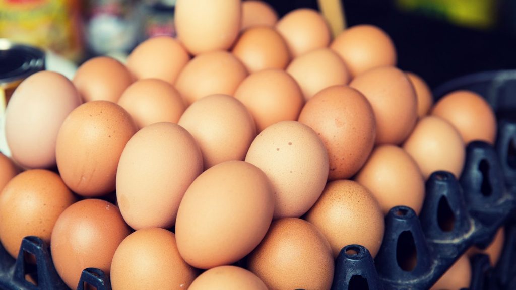 Principales alimentos que causan intoxicación alimentaria