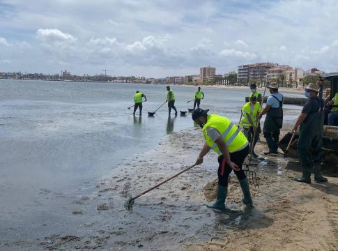 La Comunidad continúa con la retirada de biomasa del Mar Menor