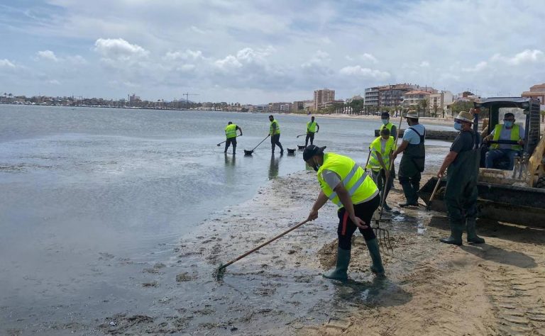 La Comunidad continúa con la retirada de biomasa del Mar Menor