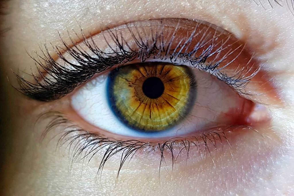 Los que dice un experto