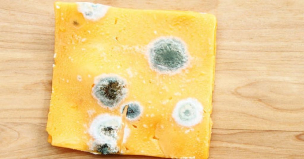 Alimentos que puedes consumir si poseen Moho