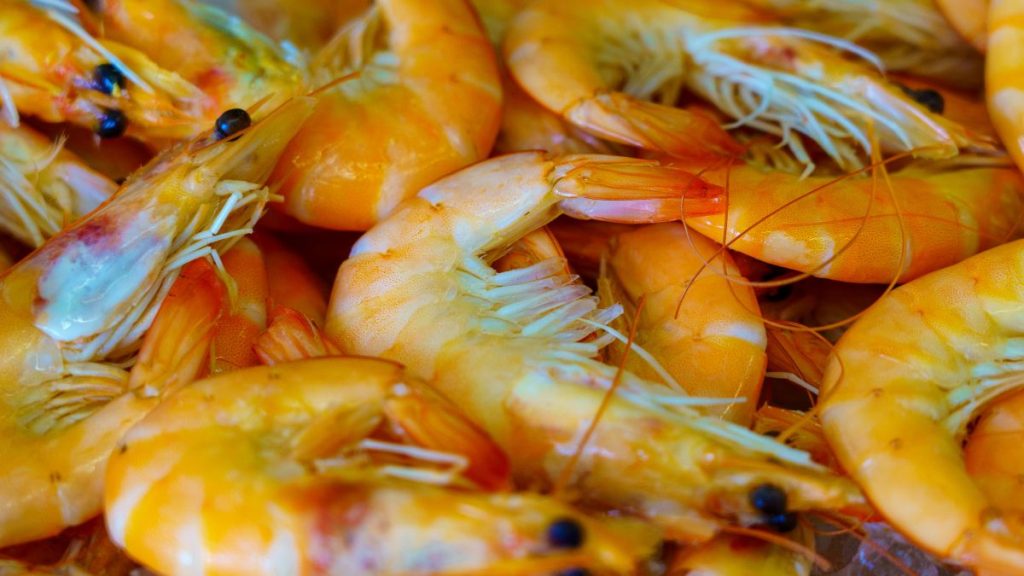 No te expongas al metal