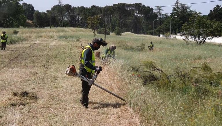Patrimonio Nacional iniciará en junio su campaña de prevención del fuego