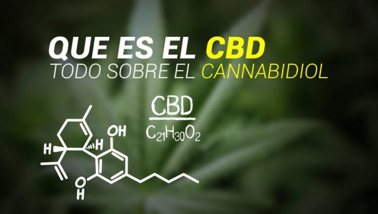 Qué es el CBD