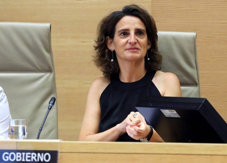 El Gobierno recibe más de 530 manifestaciones sobre movilidad eléctrica