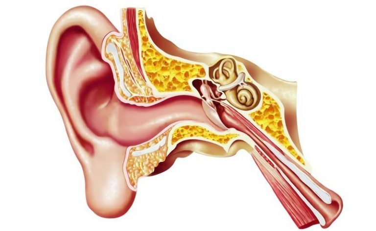 Cómo destapar un oído