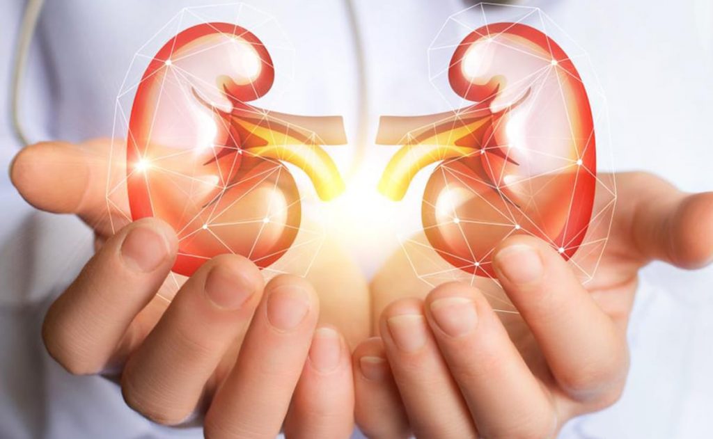 ¿Qué les pasa a los riñones?