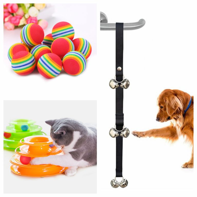 AliExpress: artilugios flipantes para entretener a tu mascota por poco dinero