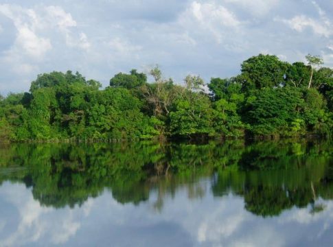 cobertura de áreas protegidas