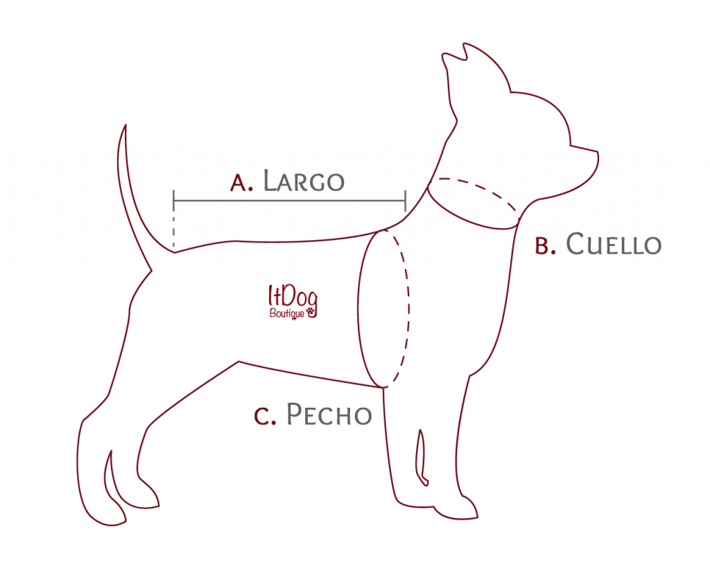 Paso a paso para medir a tu perro 