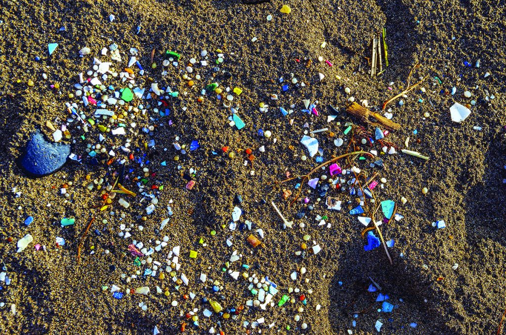 Plásticos en el microondas: los peligros a los que te expones