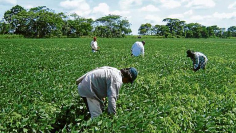 Las empresas agroalimentarias reclaman reforzar el diálogo  entre EE.UU. y Europa