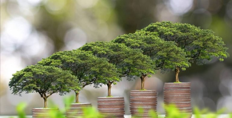 El 65% de las gestoras cuenta con fondos que siguen criterios de sostenibilidad