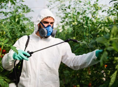 pesticidas perjudiciales para salud y medioambiente