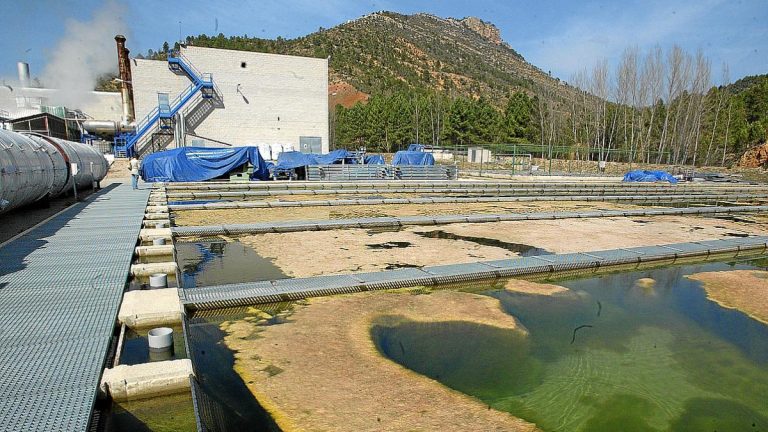 Un sistema de economía circular convierte emisiones de CO2 engas para uso alimentario