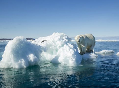 reduce el rebrote de hielo en el Océano Ártico