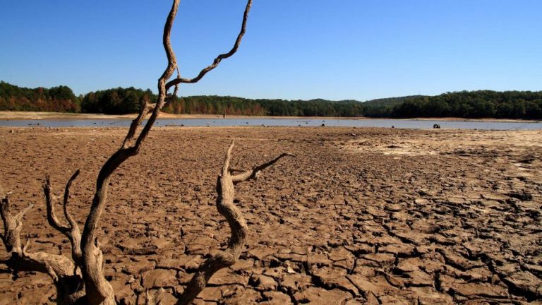 El CSIC desarrolla un sistema para monitorizar la sequía en tiempo real
