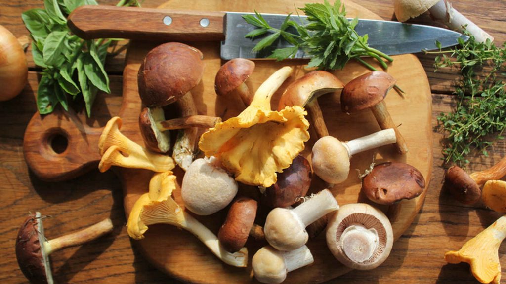 Hongos muy ricos y saludables