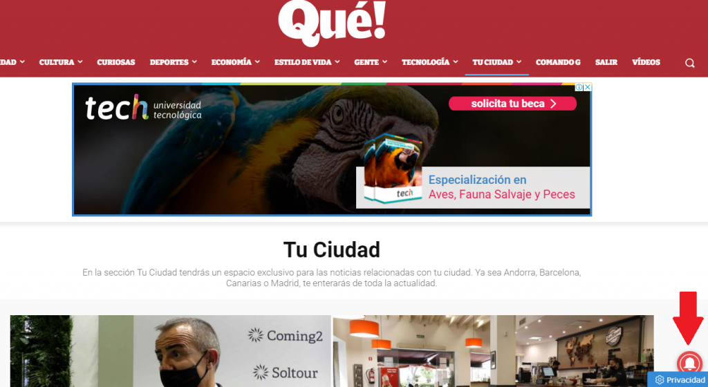 ¿Cómo puedo darme de alta en las notificaciones de Diario Qué!?