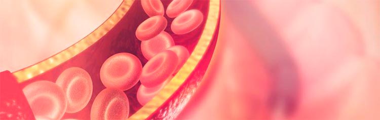 ¿Cómo saber cuándo las plaquetas han bajado?